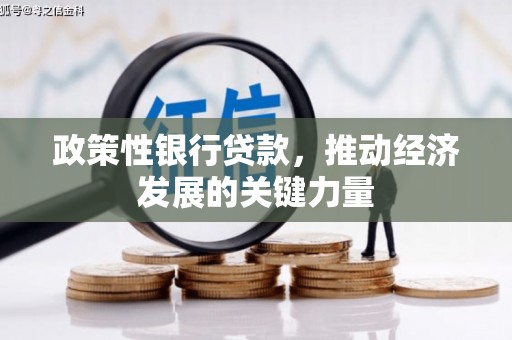 合水政策性银行贷款，推动经济发展的关键力量