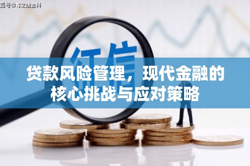 合水贷款风险管理，现代金融的核心挑战与应对策略