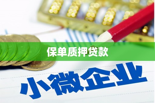 合水保单质押贷款