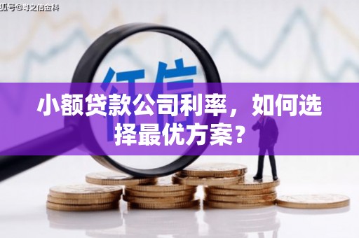合水小额贷款公司利率，如何选择最优方案？
