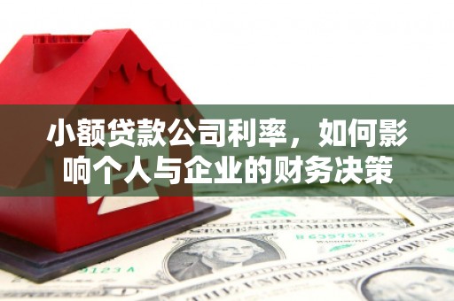 合水小额贷款公司利率，如何影响个人与企业的财务决策