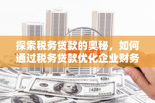 合水探索税务贷款的奥秘，如何通过税务贷款优化企业财务