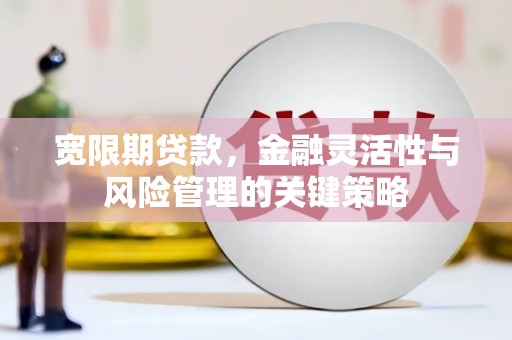 合水宽限期贷款，金融灵活性与风险管理的关键策略