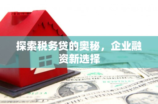 合水探索税务贷的奥秘，企业融资新选择