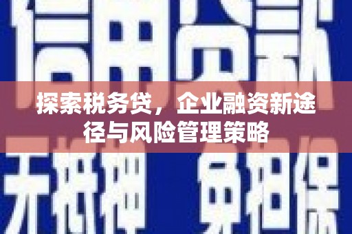 合水探索税务贷，企业融资新途径与风险管理策略