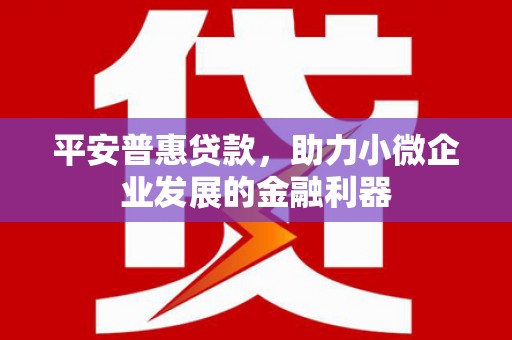 合水平安普惠贷款，助力小微企业发展的金融利器