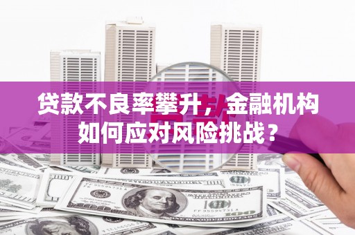 合水贷款不良率攀升，金融机构如何应对风险挑战？