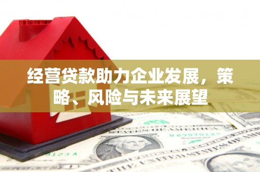 合水经营贷款助力企业发展，策略、风险与未来展望