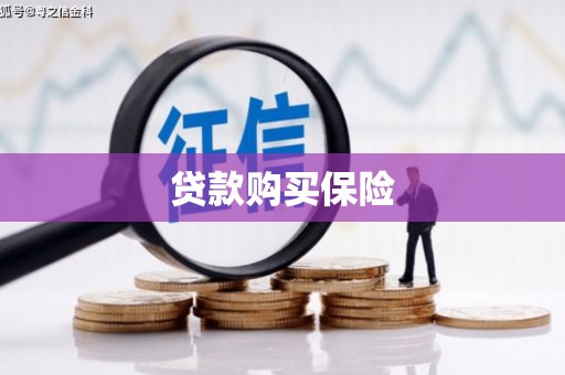 合水贷款购买保险