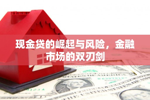 合水现金贷的崛起与风险，金融市场的双刃剑