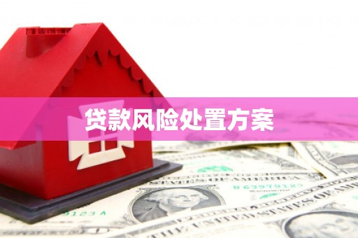 合水贷款风险处置方案