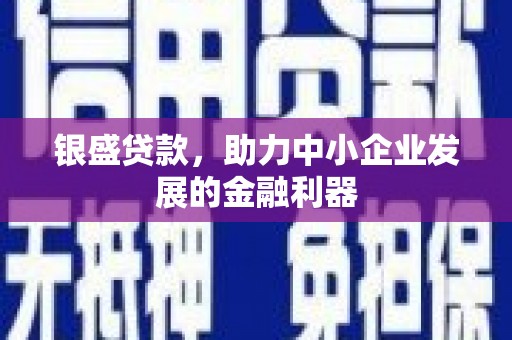 合水银盛贷款，助力中小企业发展的金融利器
