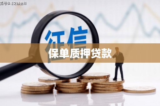 合水保单质押贷款