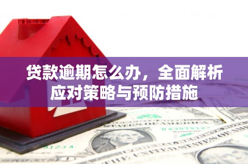 合水贷款逾期怎么办，全面解析应对策略与预防措施