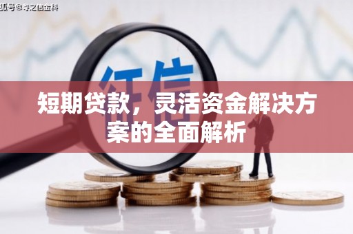 合水短期贷款，灵活资金解决方案的全面解析