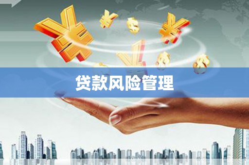 合水贷款风险管理