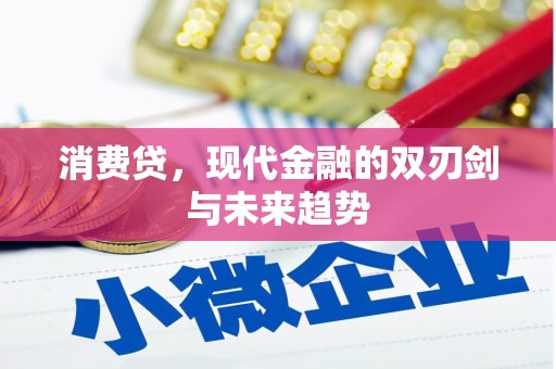 合水消费贷，现代金融的双刃剑与未来趋势