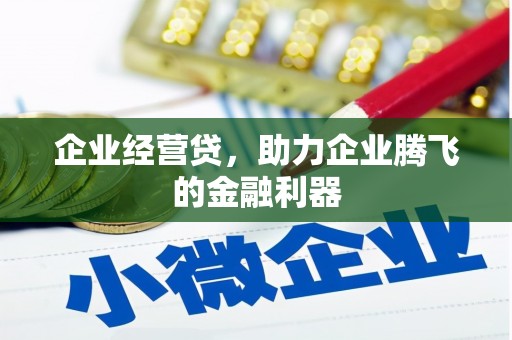 合水企业经营贷，助力企业腾飞的金融利器
