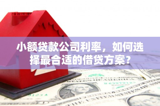 合水小额贷款公司利率，如何选择最合适的借贷方案？