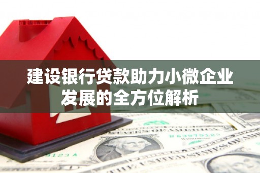 合水建设银行贷款助力小微企业发展的全方位解析