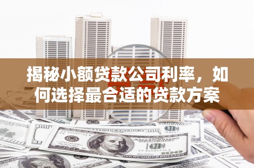 合水揭秘小额贷款公司利率，如何选择最合适的贷款方案