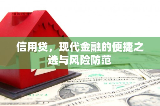 合水信用贷，现代金融的便捷之选与风险防范