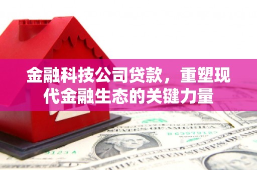 合水金融科技公司贷款，重塑现代金融生态的关键力量