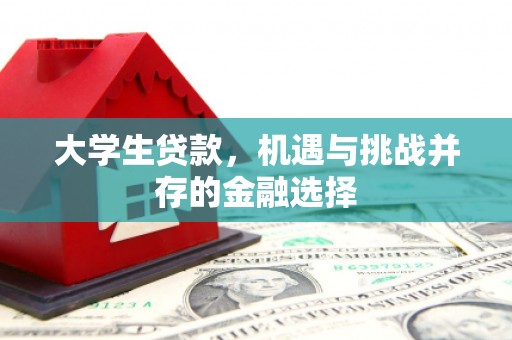 合水大学生贷款，机遇与挑战并存的金融选择