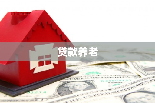 合水贷款养老