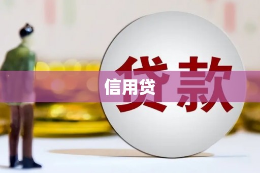 合水信用贷