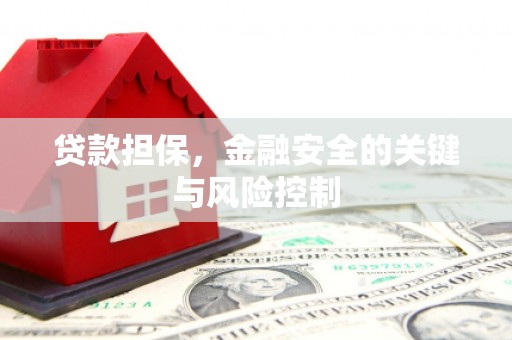 合水贷款担保，金融安全的关键与风险控制