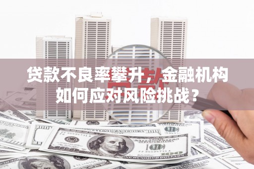 合水贷款不良率攀升，金融机构如何应对风险挑战？