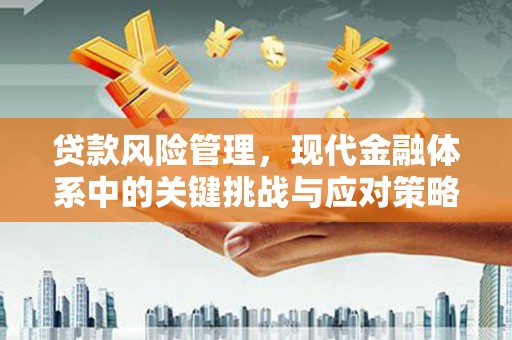 合水贷款风险管理，现代金融体系中的关键挑战与应对策略