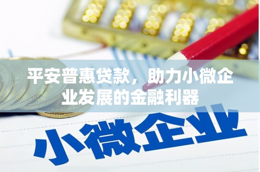 合水平安普惠贷款，助力小微企业发展的金融利器