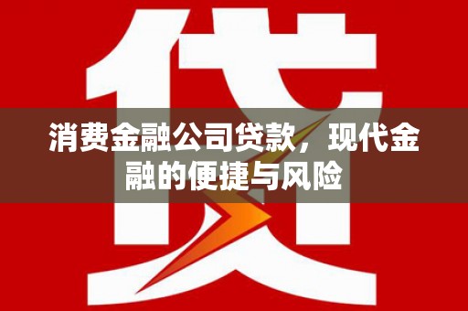 合水消费金融公司贷款，现代金融的便捷与风险
