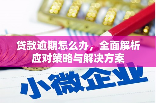 合水贷款逾期怎么办，全面解析应对策略与解决方案